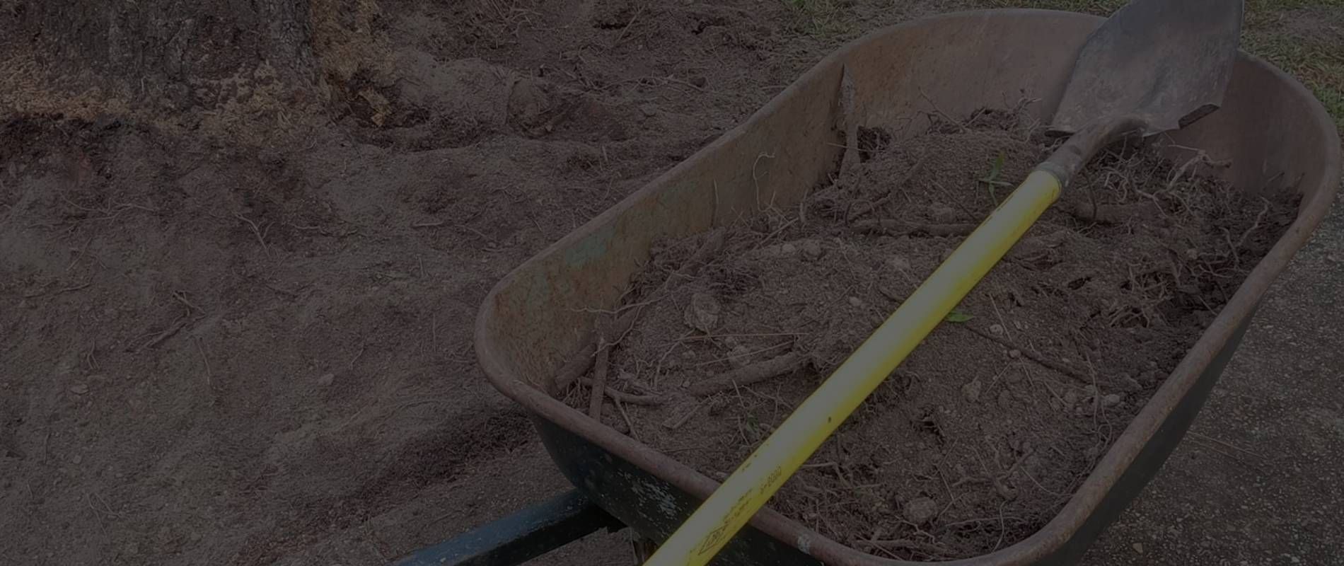 Basic Plumbing Repairs and Maintenance